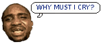 WHYMUSTICRY.gif