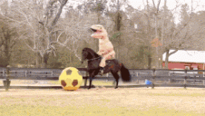 2y1o31u5r3p4.gif