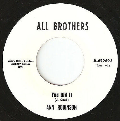 Ann Robinson ‎– You Did It