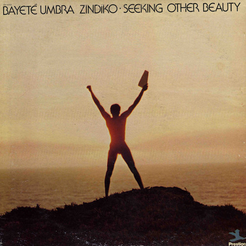 Bayeté Umbra Zindiko - Seeking Other Beauty
