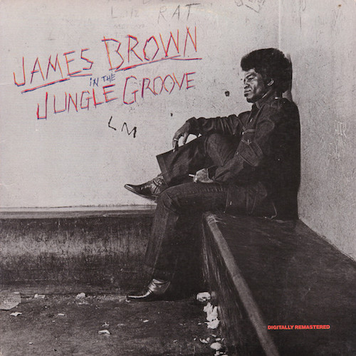 James Brown ‎– In The Jungle Groove