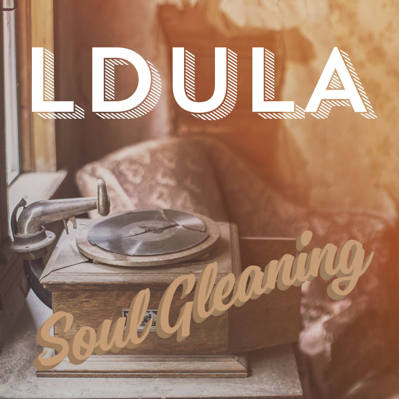 L Dula - SOUL GLEANING (The 45 Bins)